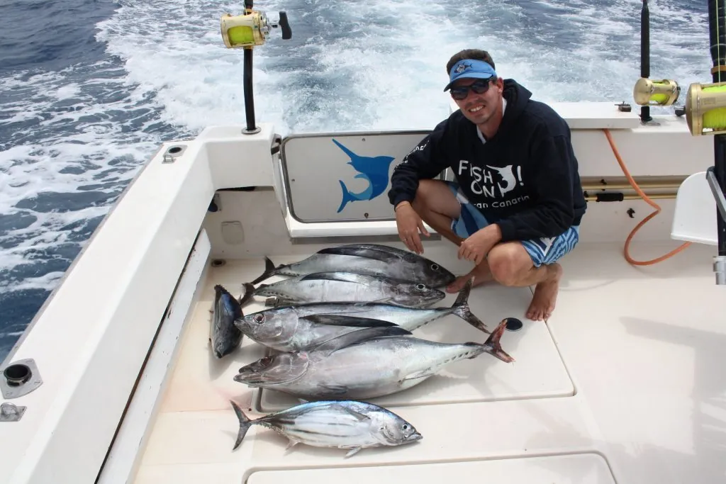 Several tunas on the deck after a good morning